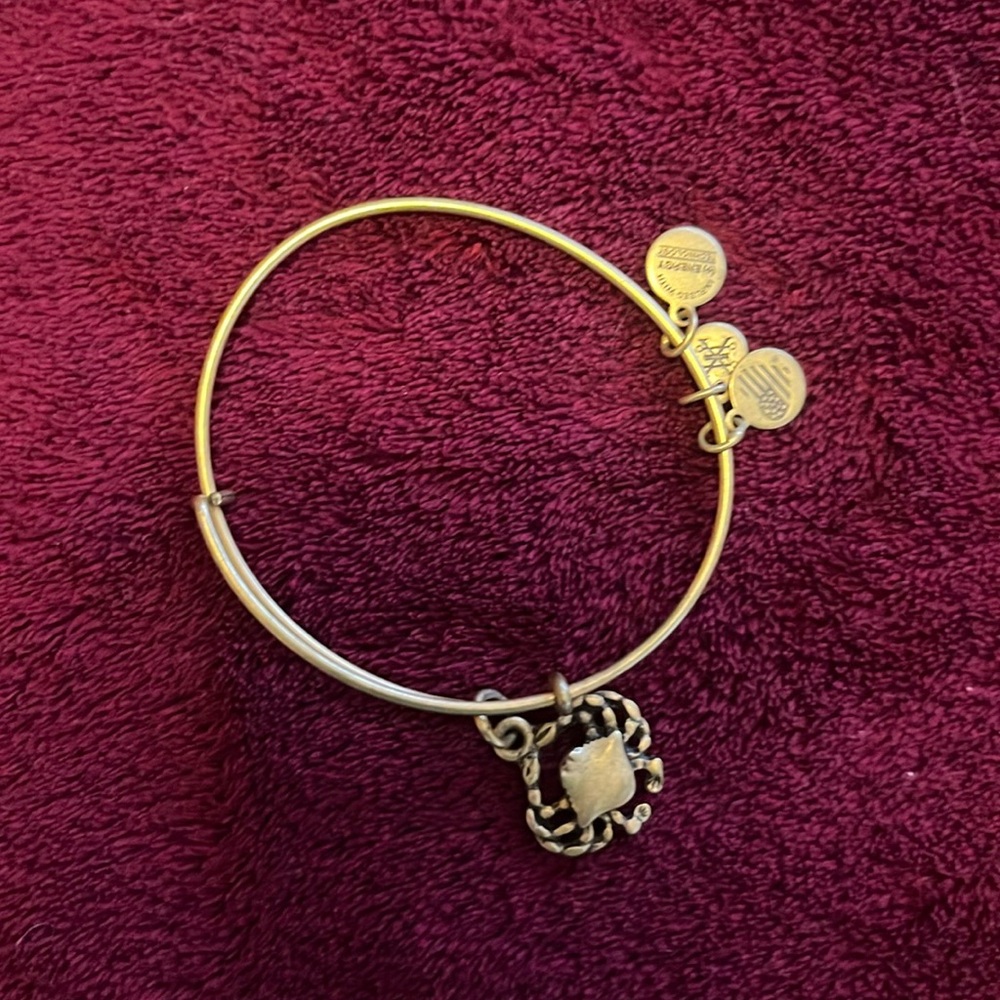 Alex and Ami cancer bracelet